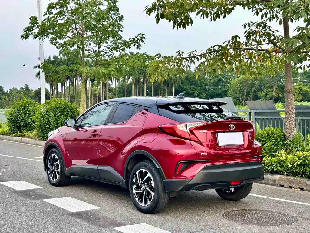 Toyota IZOA 2019