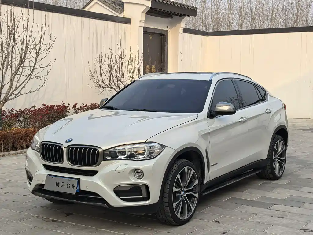 BMW X6 2018 — фото 1