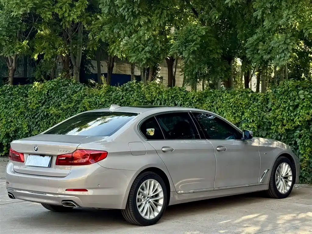 BMW 5 Series 2019