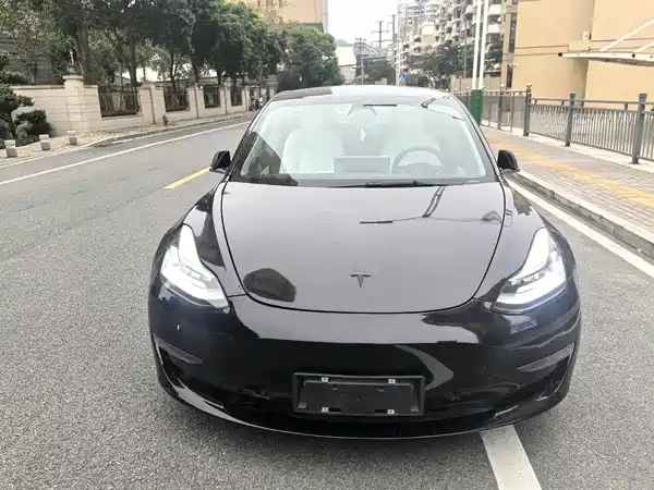 Tesla Model 3 2020