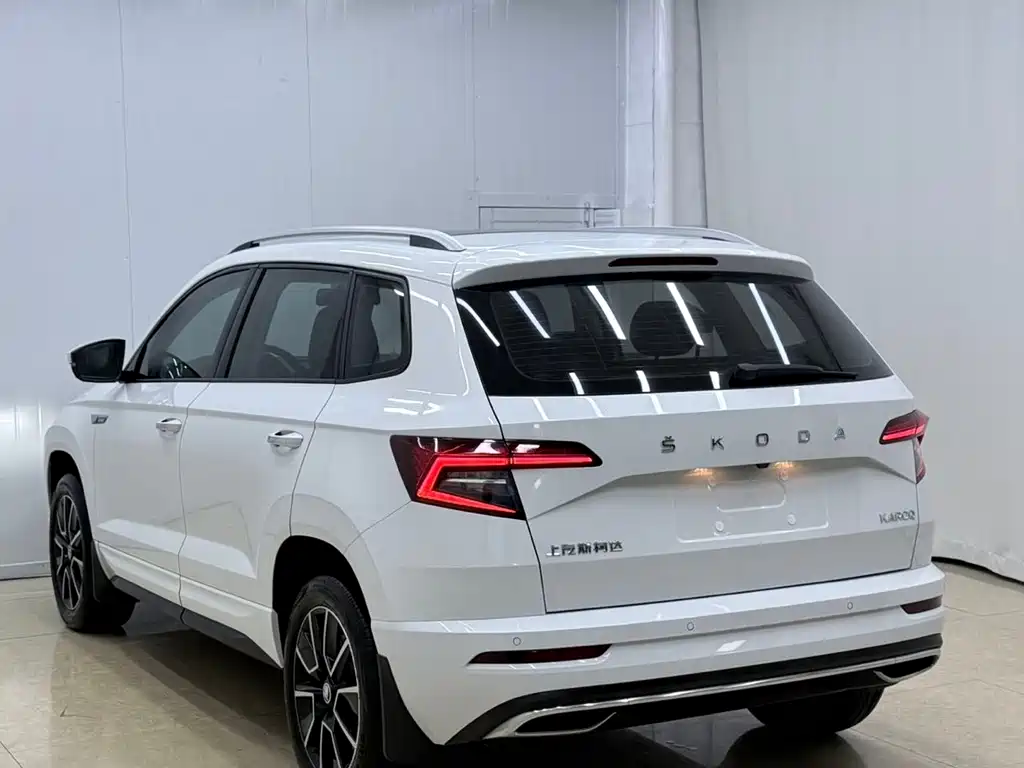 Skoda Karoq 2024 — фото 6