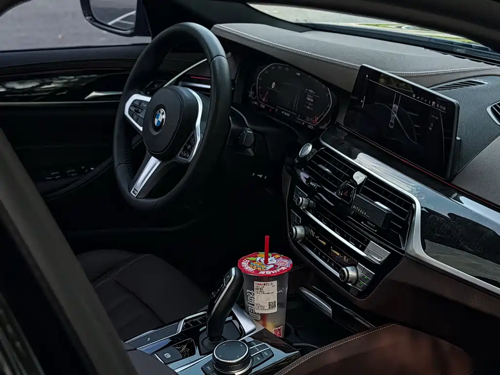 BMW 5 Series 2020 — фото 19