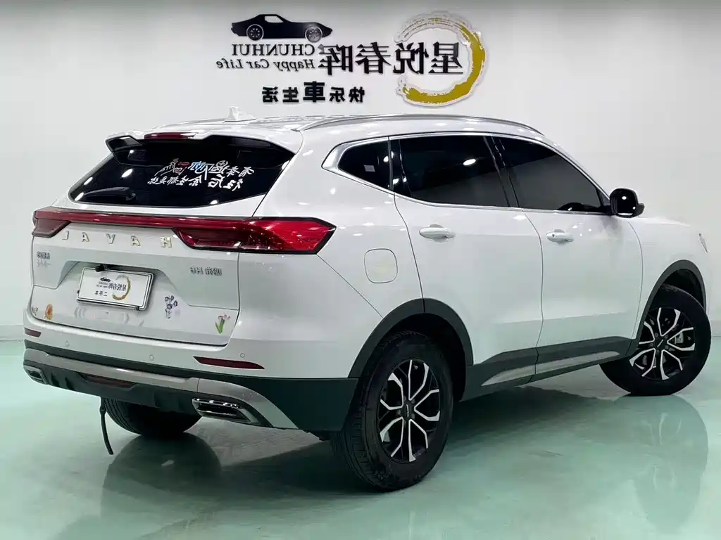 Haval H6 2022 — фото 9