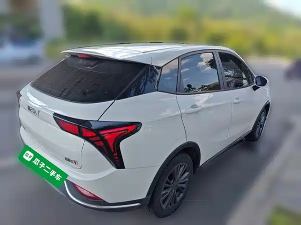 Neta V 2022