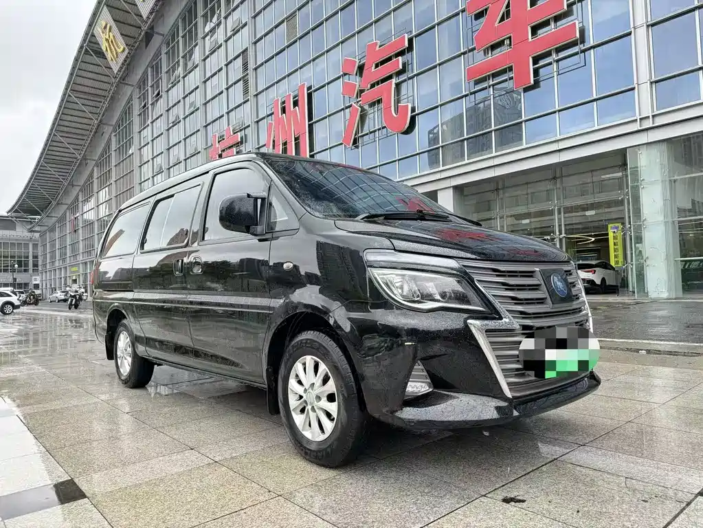 Dongfeng Lingzhi New Energy 2023