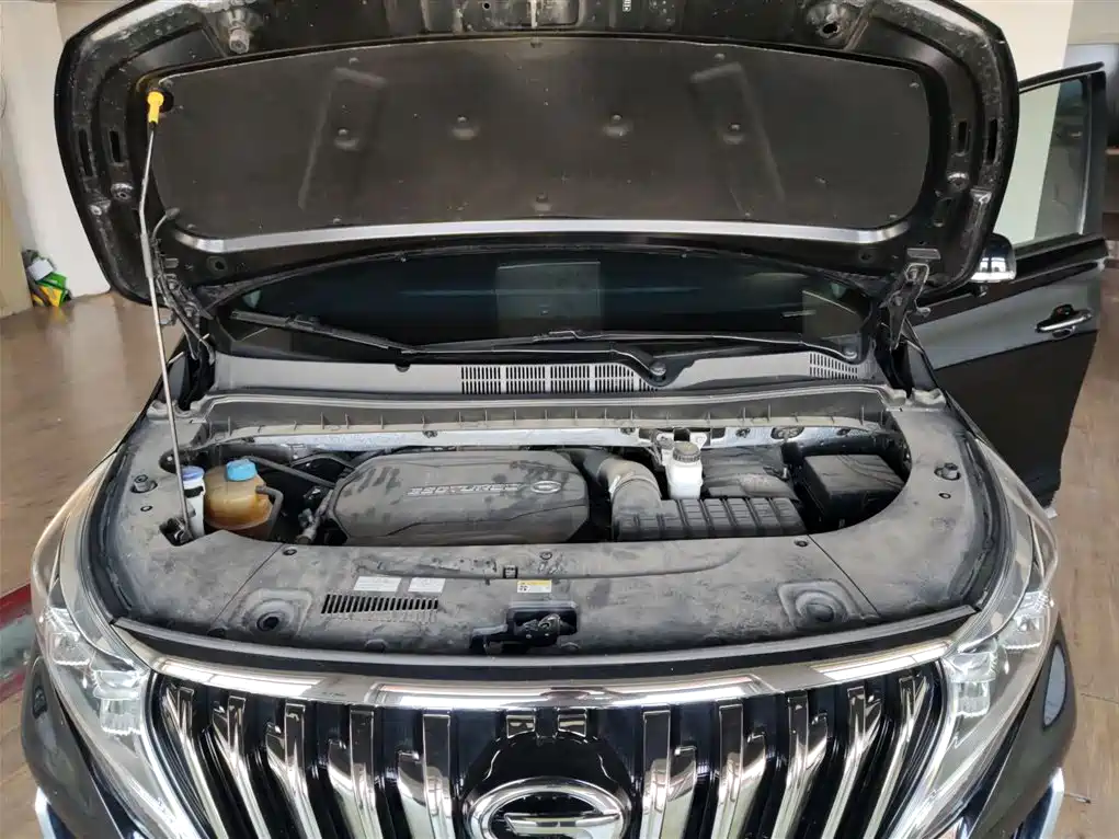 GAC Motor Trumpchi M8 2021 — фото 16
