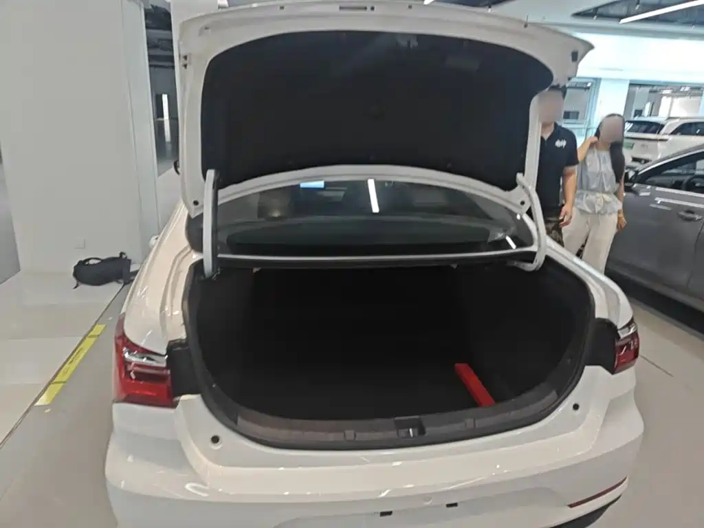 BYD Qin NEV 2024 — фото 19