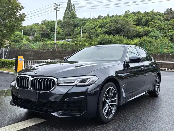 BMW 5 Series 2021