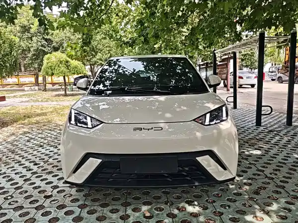 BYD Seagull 2023