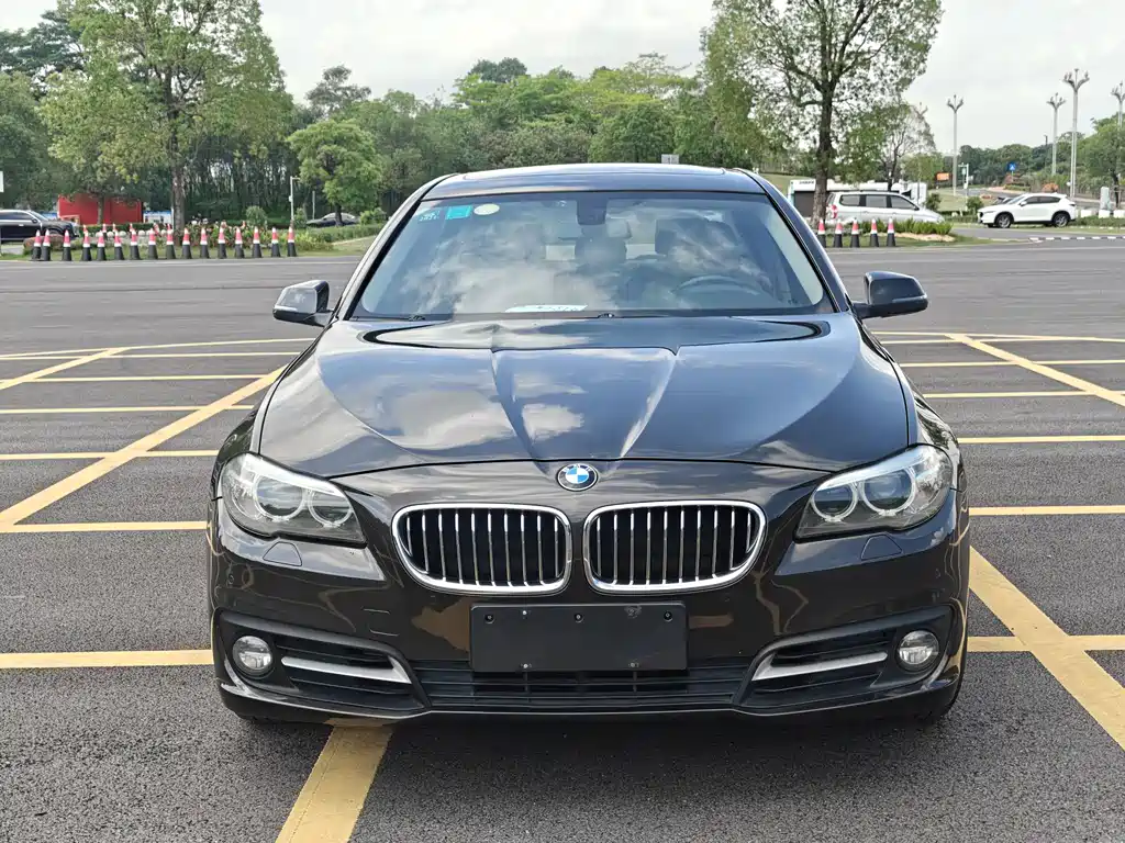 BMW 5 Series 2014 — фото 2