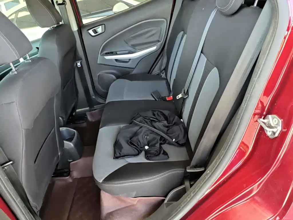 Ford EcoSport 2015 — фото 17