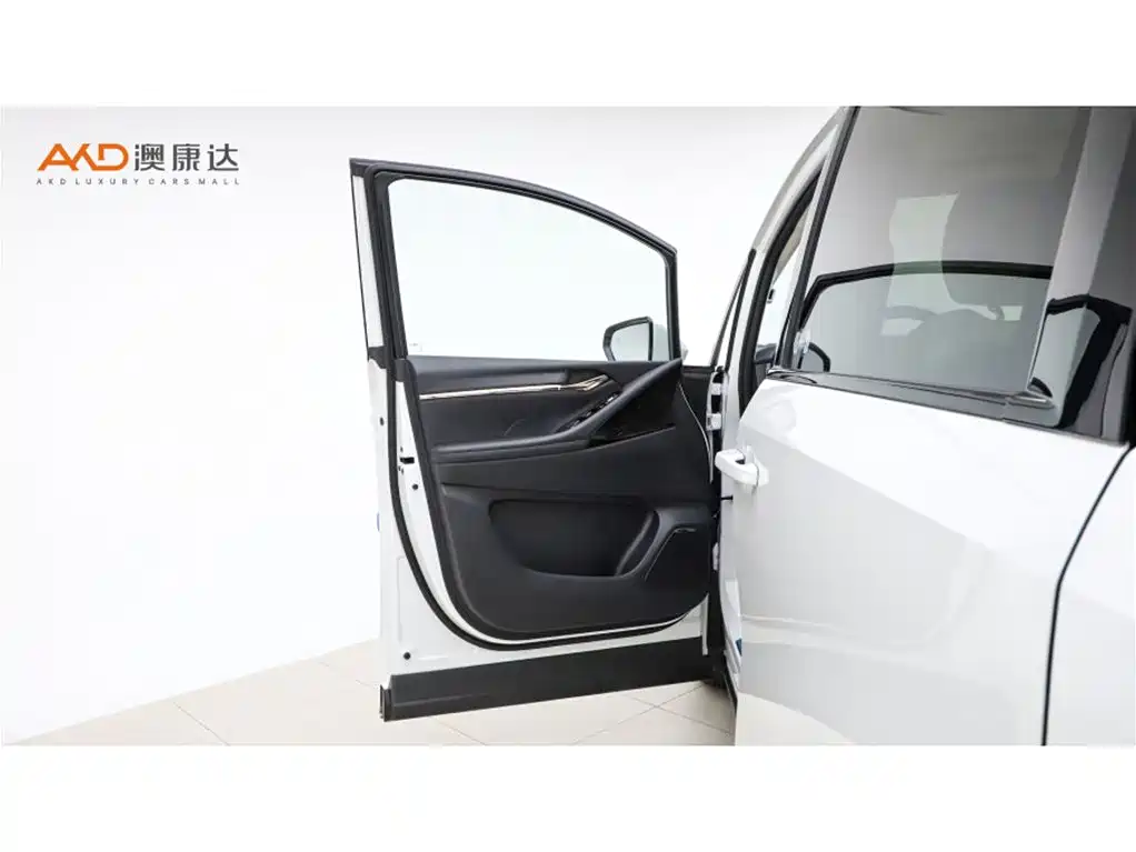 GAC Trumpchi E9 2024 — фото 11