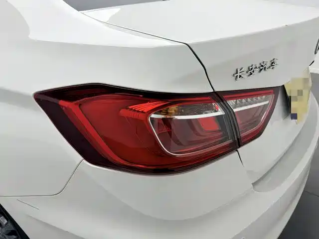Changan Eado DT 2020 — фото 16