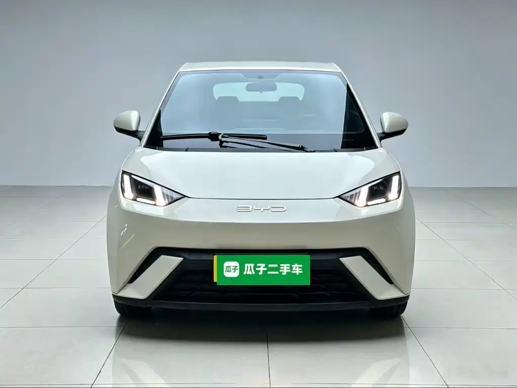 BYD Seagull 2024