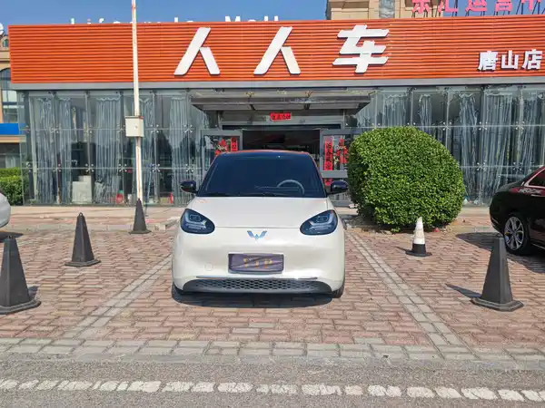 Wuling Bingo 2024