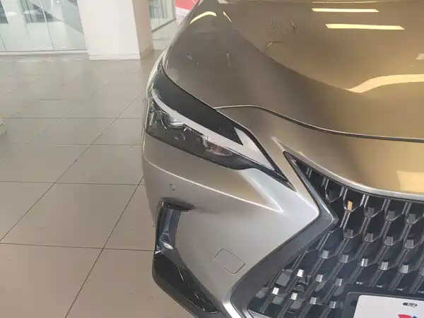 Lexus NX New Energy 2022