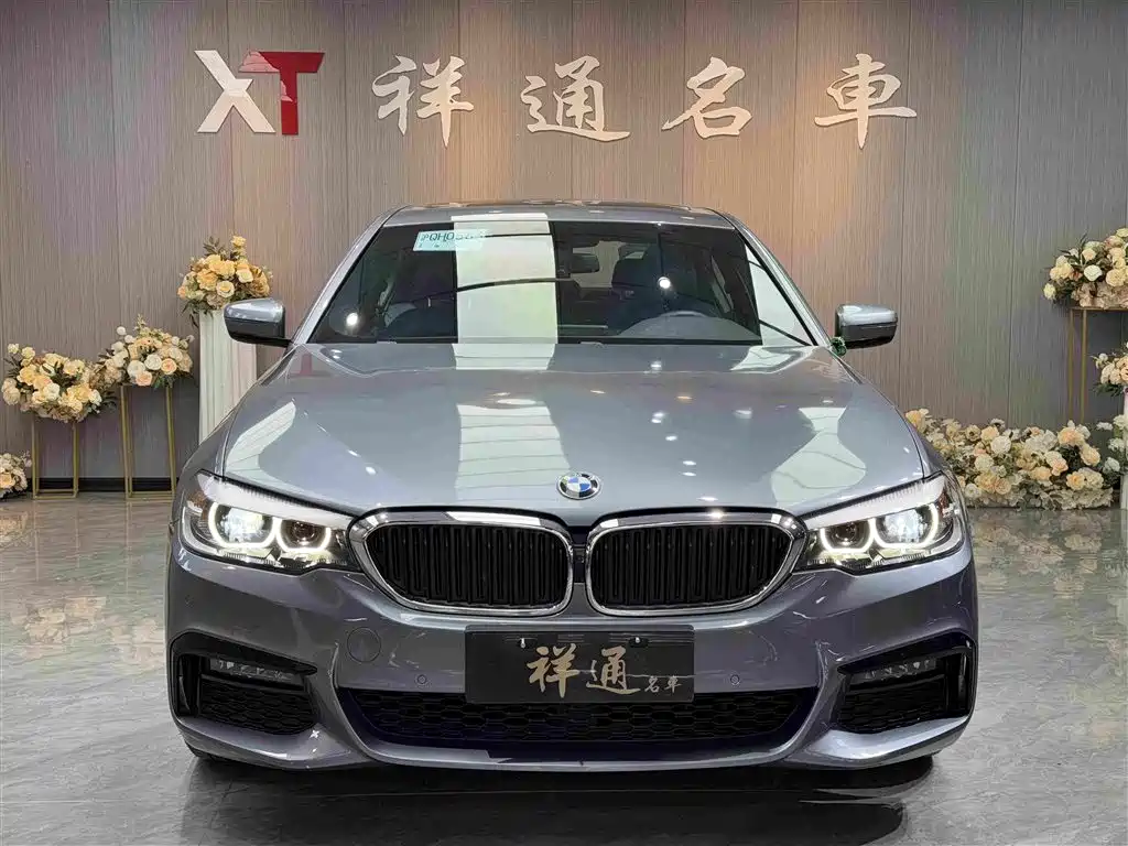 BMW 5 Series 2019