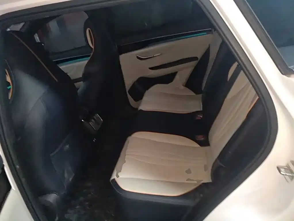 BYD Song PLUS New Energy 2023 — фото 17