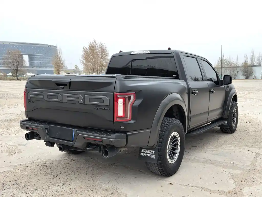 Ford F-150 Raptor 2020 — фото 5