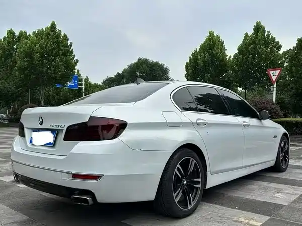 BMW 5 Series 2014