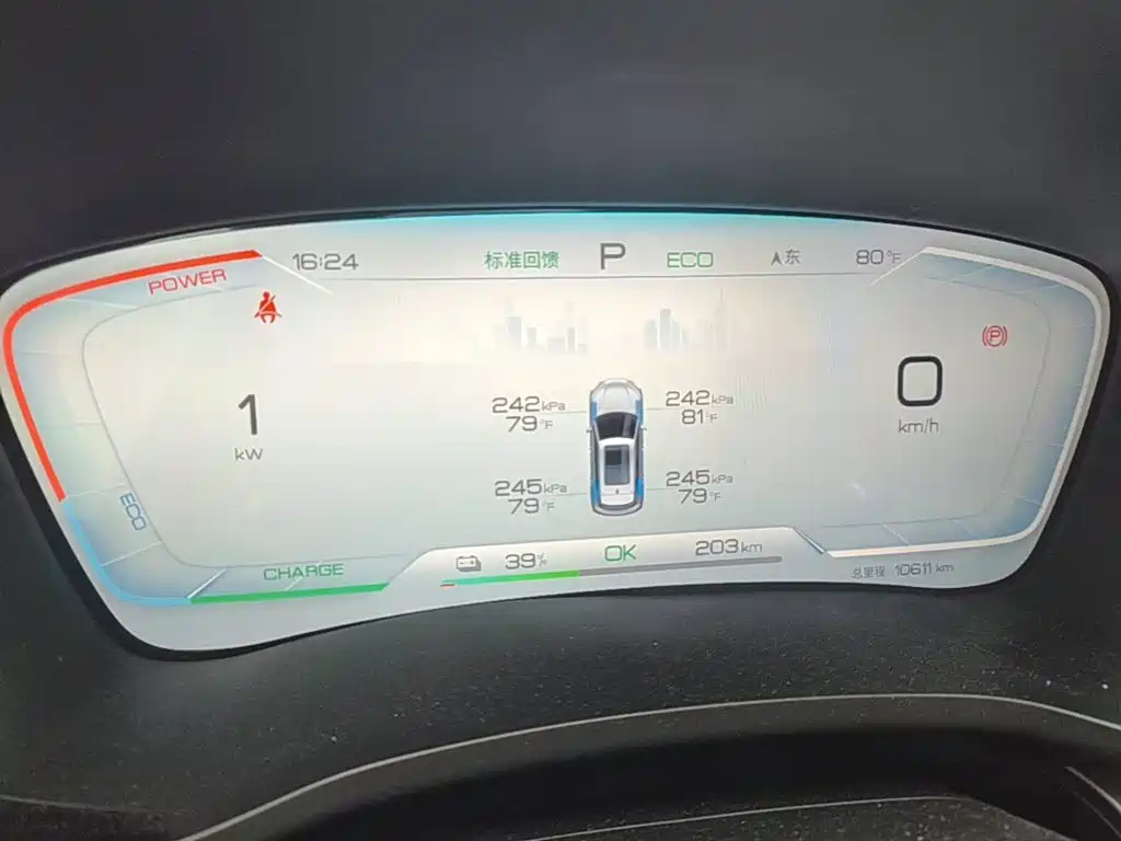 BYD Song PLUS New Energy 2024 — фото 12