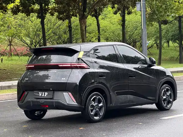 BYD Seagull 2024