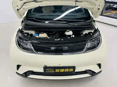 BYD Dolphin 2022