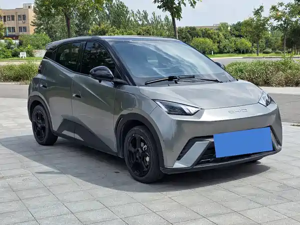 BYD Seagull 2023
