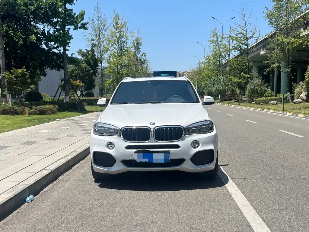 BMW X5 2019 — фото 2