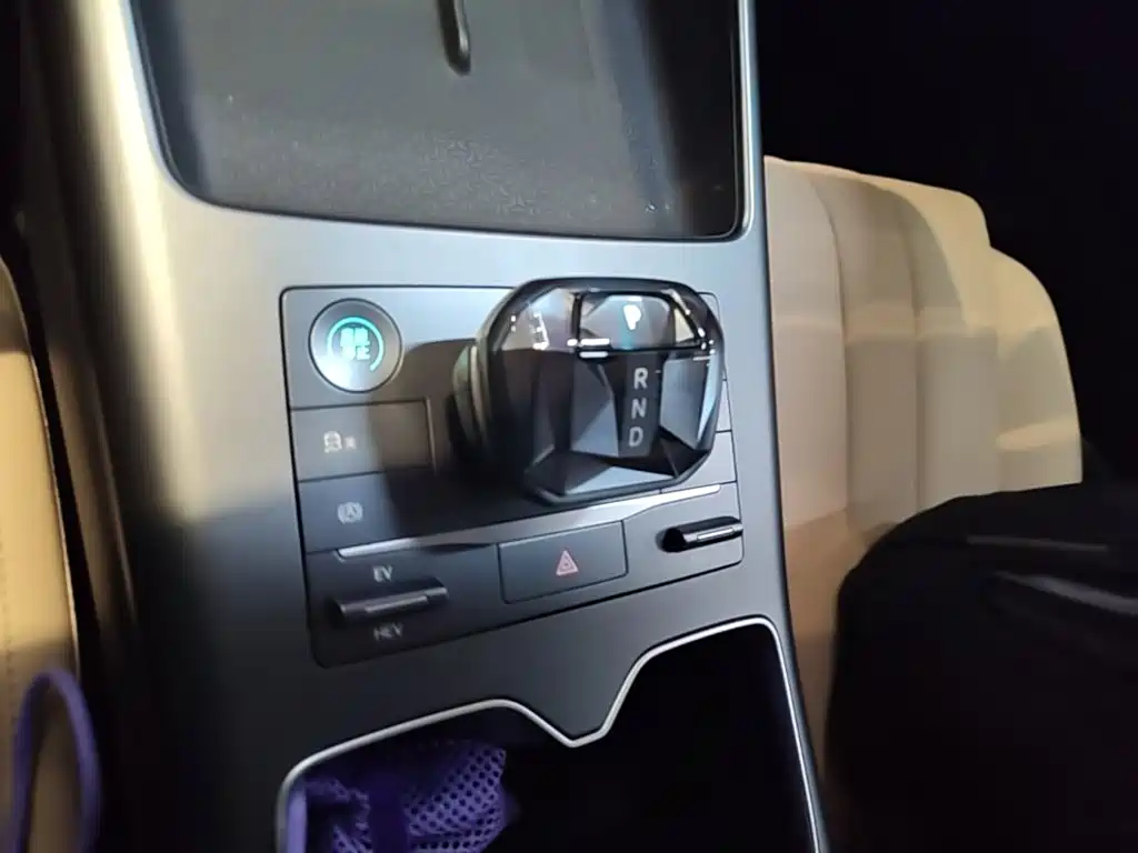 BYD Song Pro New Energy 2025 — фото 14