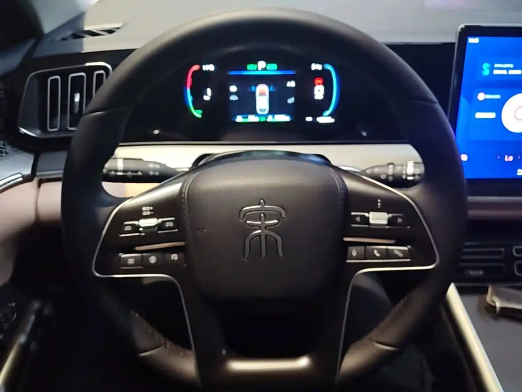 BYD Song Pro New Energy 2025 — фото 11