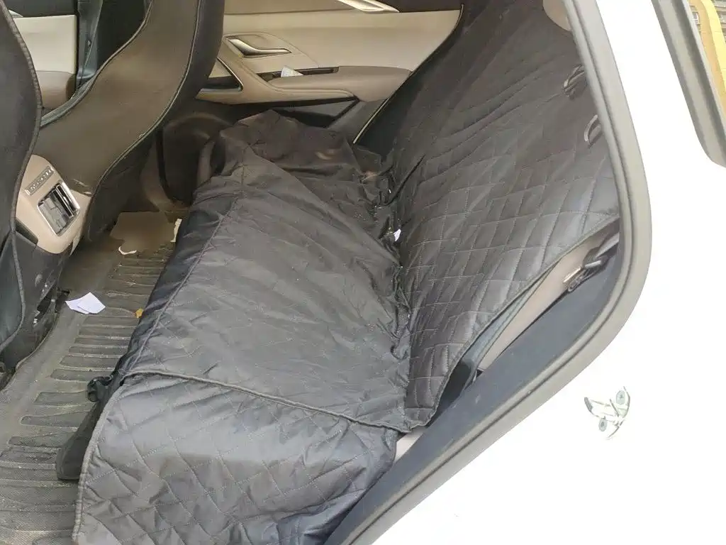 BYD Song Pro New Energy 2024 — фото 18
