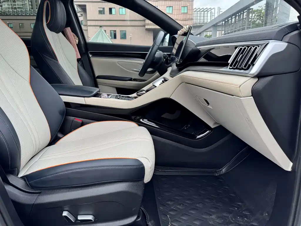 BYD Song PLUS New Energy 2022 — фото 12
