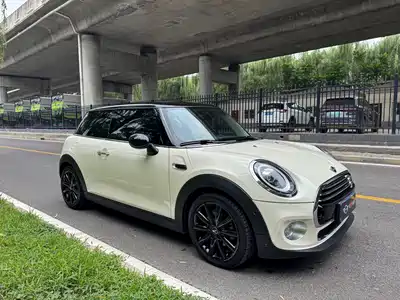 MINI MINI 2019