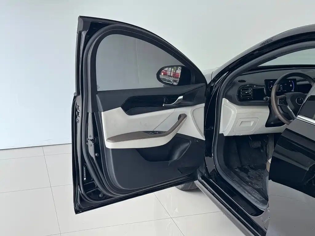BYD Qin PLUS 2023 — фото 13