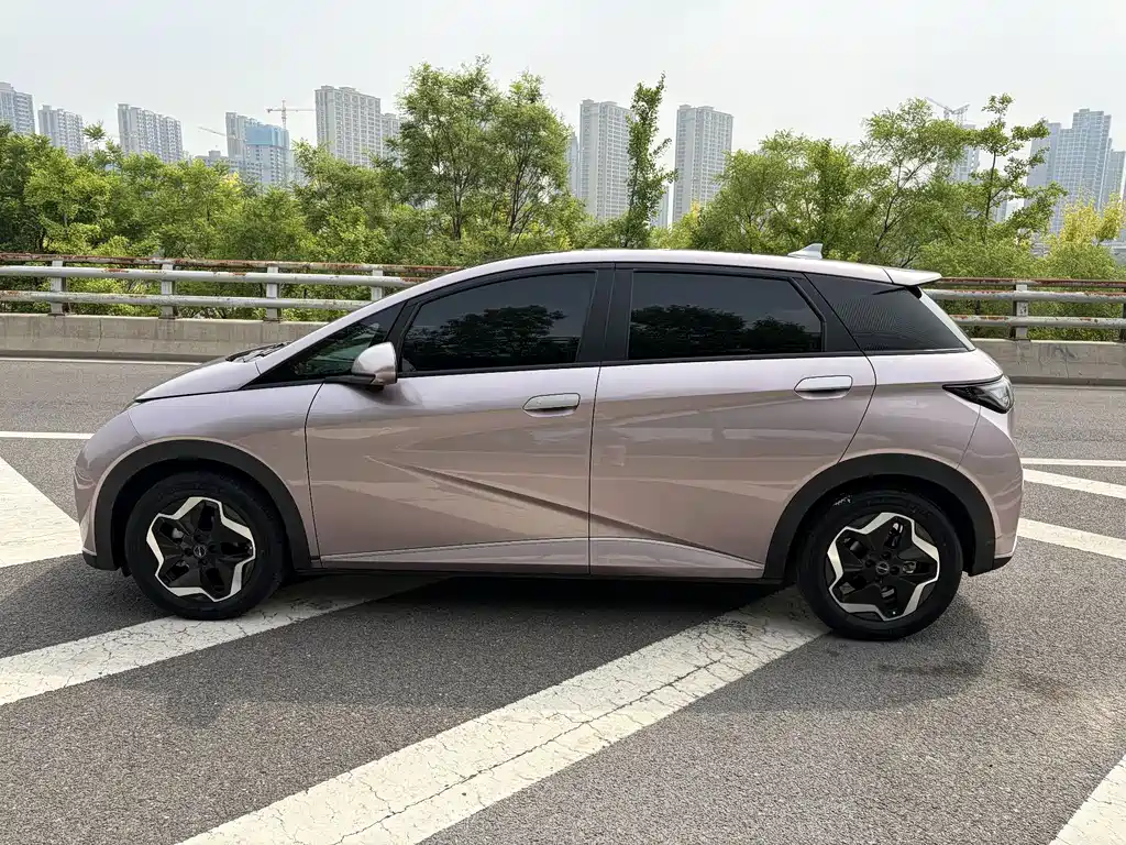 BYD Dolphin 2021 — фото 11