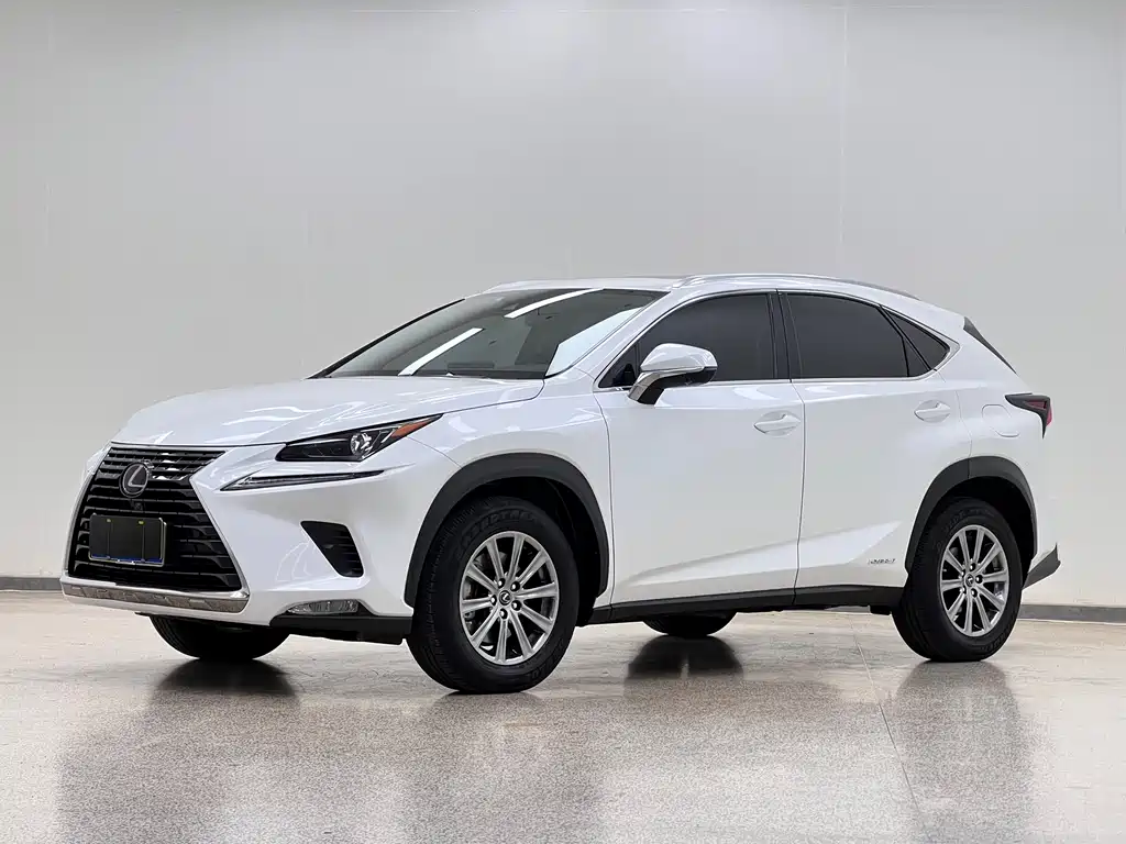 Lexus NX 2020 — фото 1