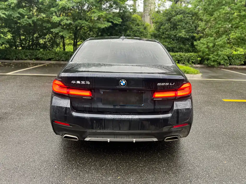 BMW 5 Series 2021