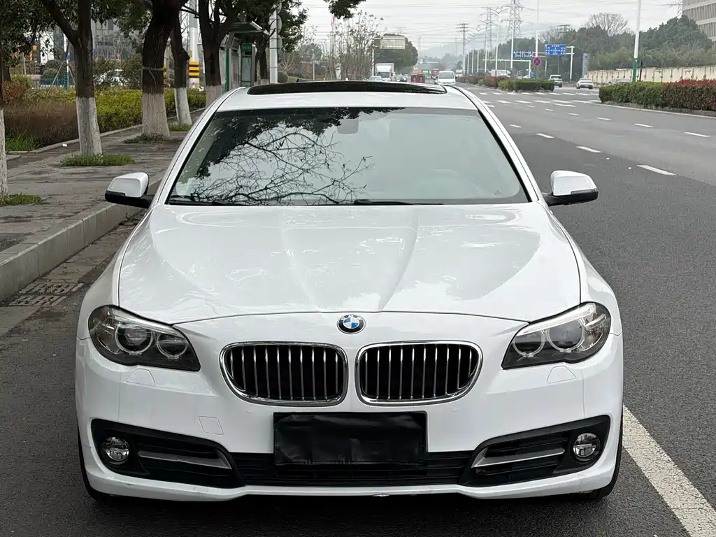 BMW 5 Series 2014 — фото 2