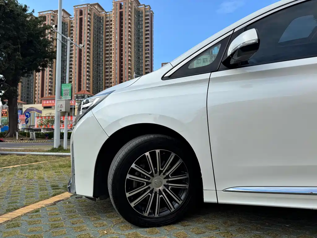 GAC Motor Trumpchi M8 2022 — фото 8
