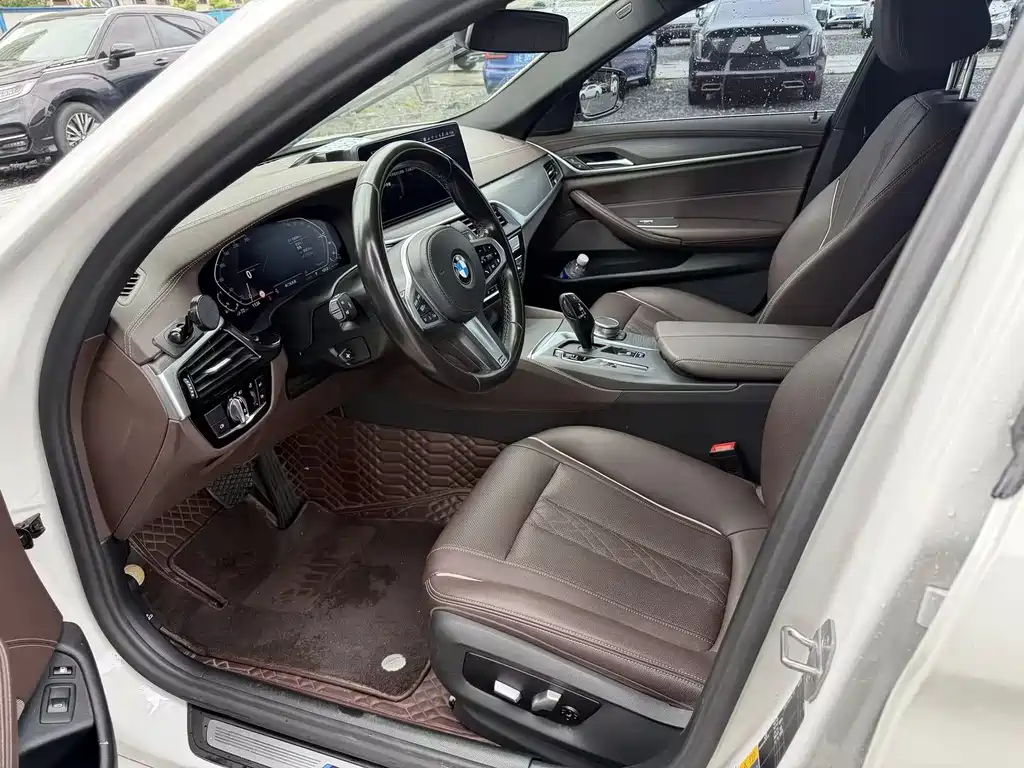 BMW 5 Series New Energy 2020
