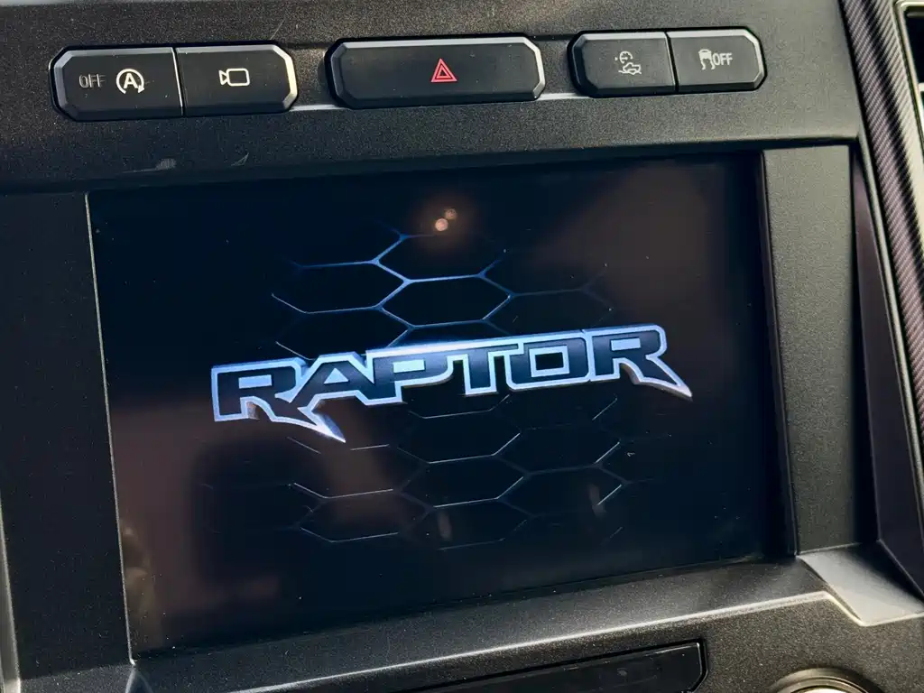 Ford F-150 Raptor 2019 — фото 10
