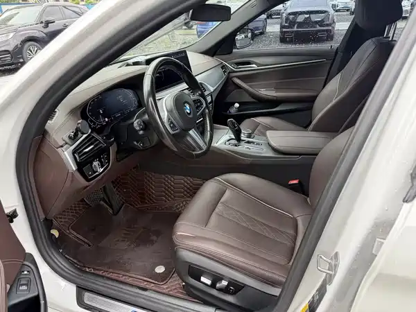 BMW 5 Series New Energy 2020