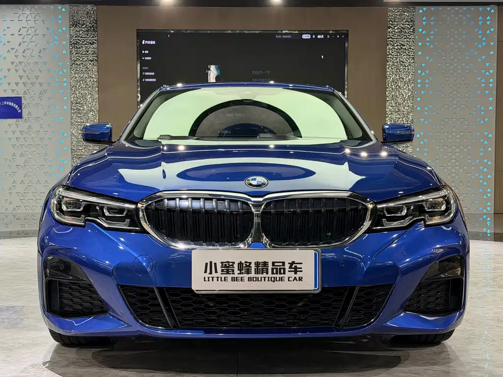 BMW 3 Series 2019