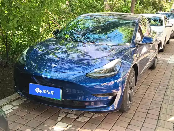 Tesla Model 3 2021