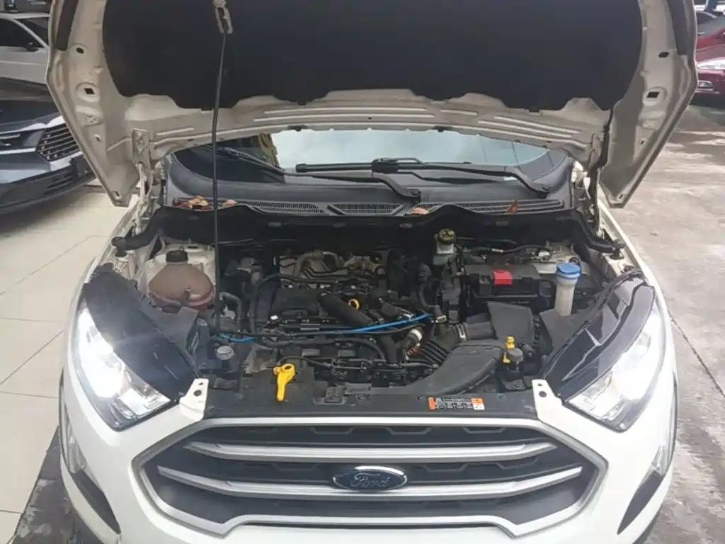Ford Ecosport 2017 — фото 20
