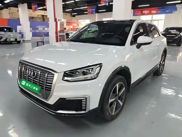 Audi Q2L E-Tron 2021