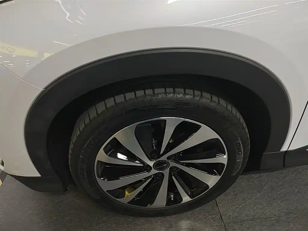BYD PLUS New Energy 2025 — фото 22
