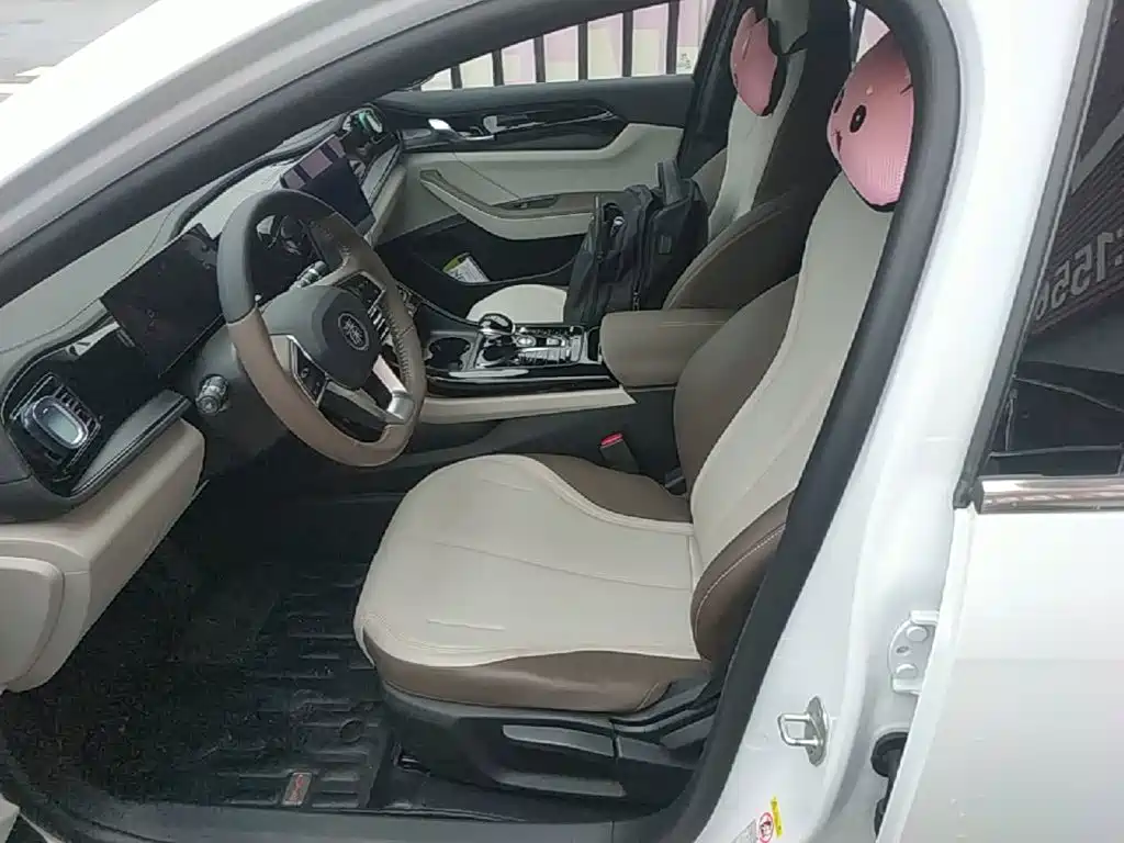 BYD Qin PLUS 2024 — фото 15
