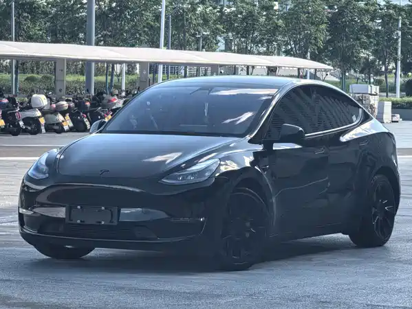 Tesla Model Y 2021